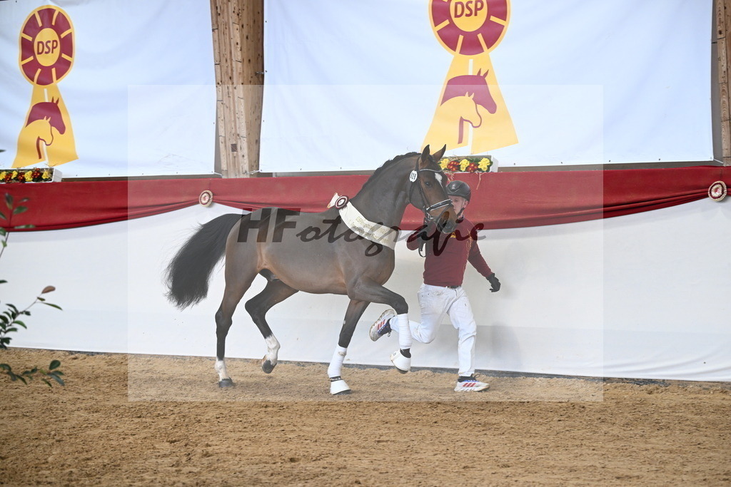 Kat.-Nr. 28 v. Million Dollar_Isaak_3265373 | hf-fotografie - Realisiert mit Pictrs.com
