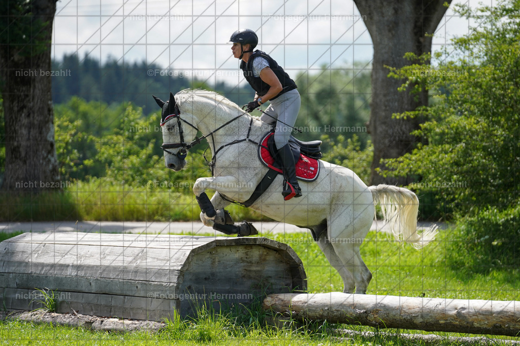 20240622-FAH07739 | Turnierfotografen Bayern, Reitsportbilder aus dem Geländekurs mit Felix Etzel auf dem Gut Waitzacker 2024