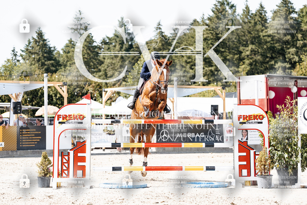CK905348 | Turnierfotografie Pferdefotografie Trier Rheinland-Pfalz Pferdesport Reitsport Tierfotografie Sportfotografie Pferdevideo Pferdevideografie Equestrianvideography equestrianphotography  - Realisiert mit Pictrs.com