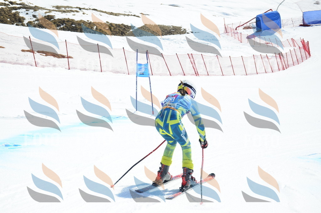 _ELE1024 | holidayphoto