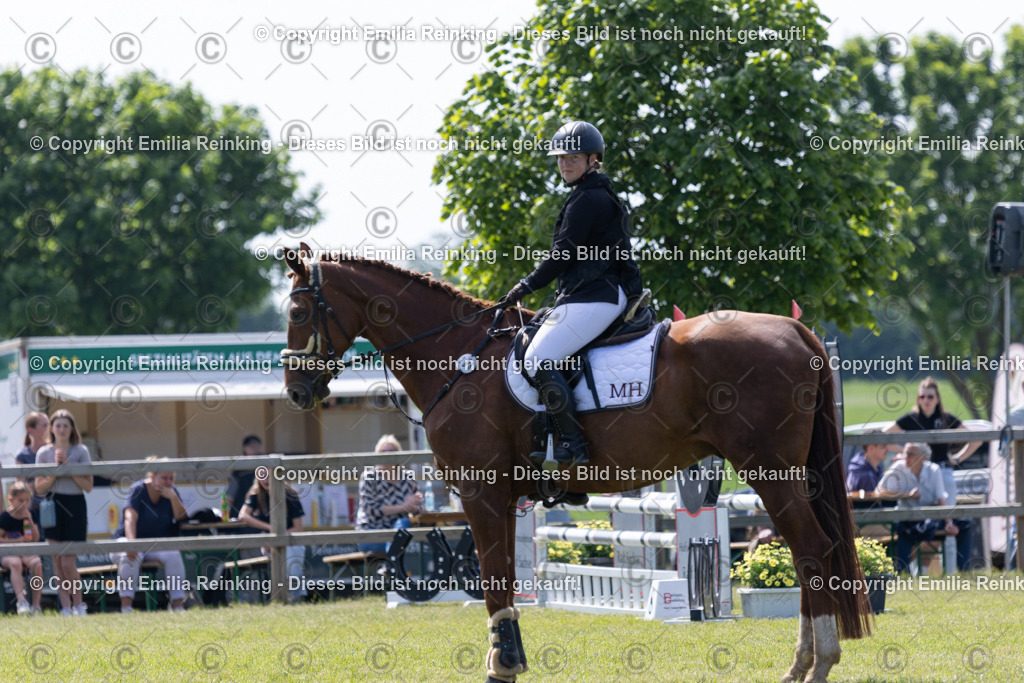 CL5A2011 | Emilia Reinking Fotografie - Realisiert mit Pictrs.com