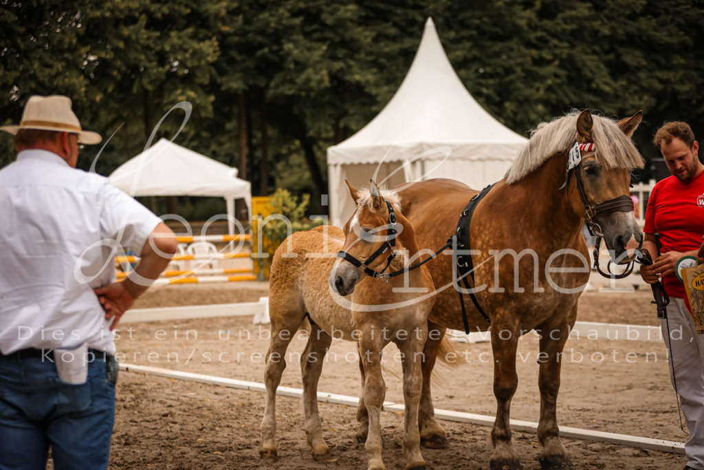 SaHF00121 | Leoni Ertmer Photography - Realisiert mit Pictrs.com