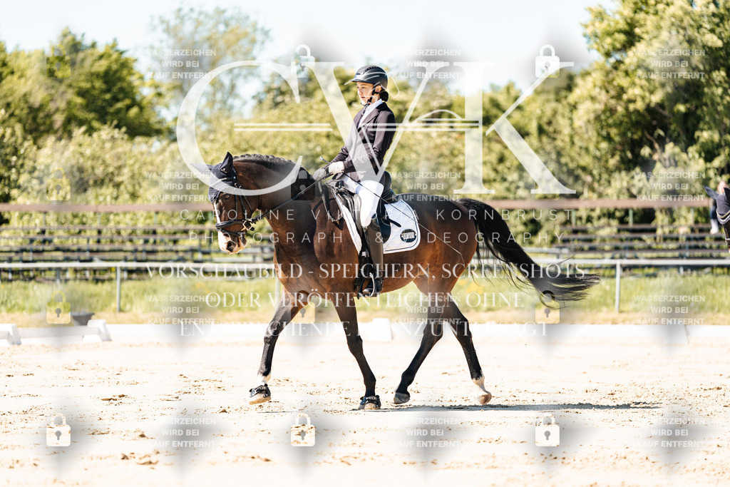 CK905020 | Turnierfotografie Pferdefotografie Trier Rheinland-Pfalz Pferdesport Reitsport Tierfotografie Sportfotografie Pferdevideo Pferdevideografie Equestrianvideography equestrianphotography  - Realisiert mit Pictrs.com