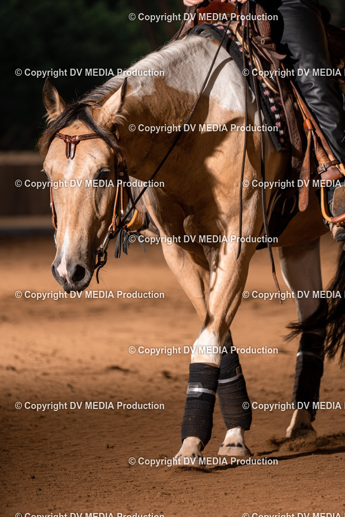 Erbach Tag 3-911 | dv-media-shop - Realisiert mit Pictrs.com