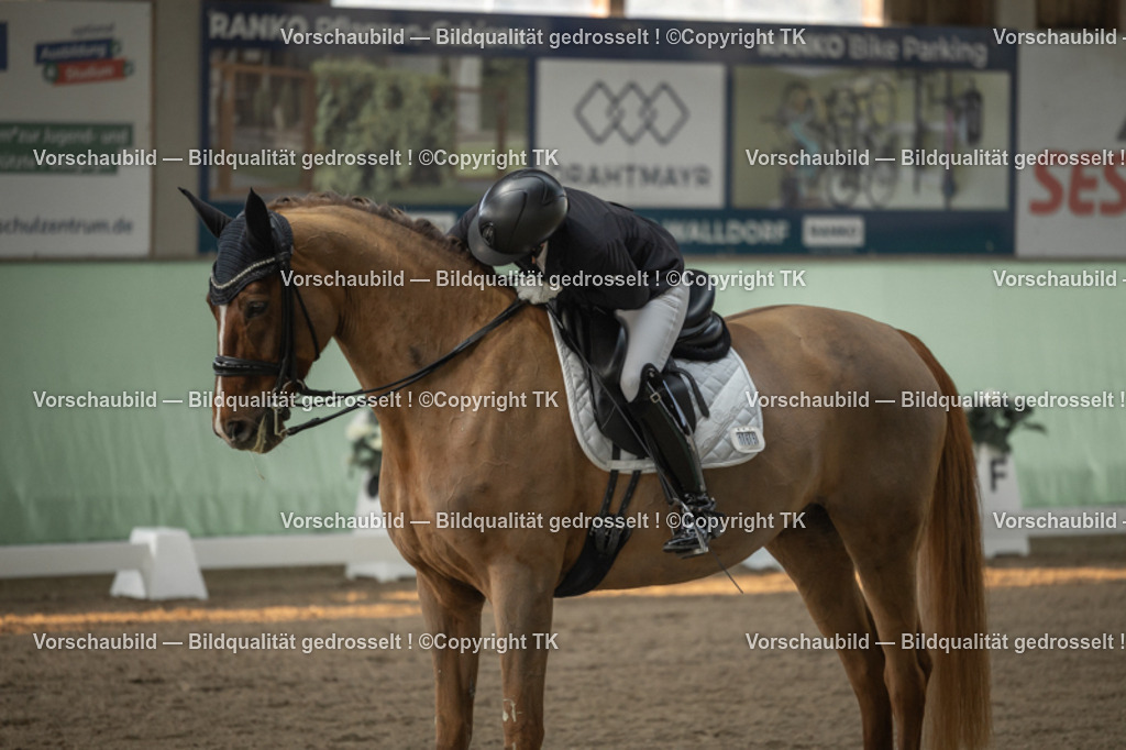 _D5A4000 | Emotionale Pferde- & People-Fotografie rund um Heidelberg, Leimen & Umgebung. Natürliche Fotos von Pferd, Mensch & Familie. Jetzt Termin sichern!