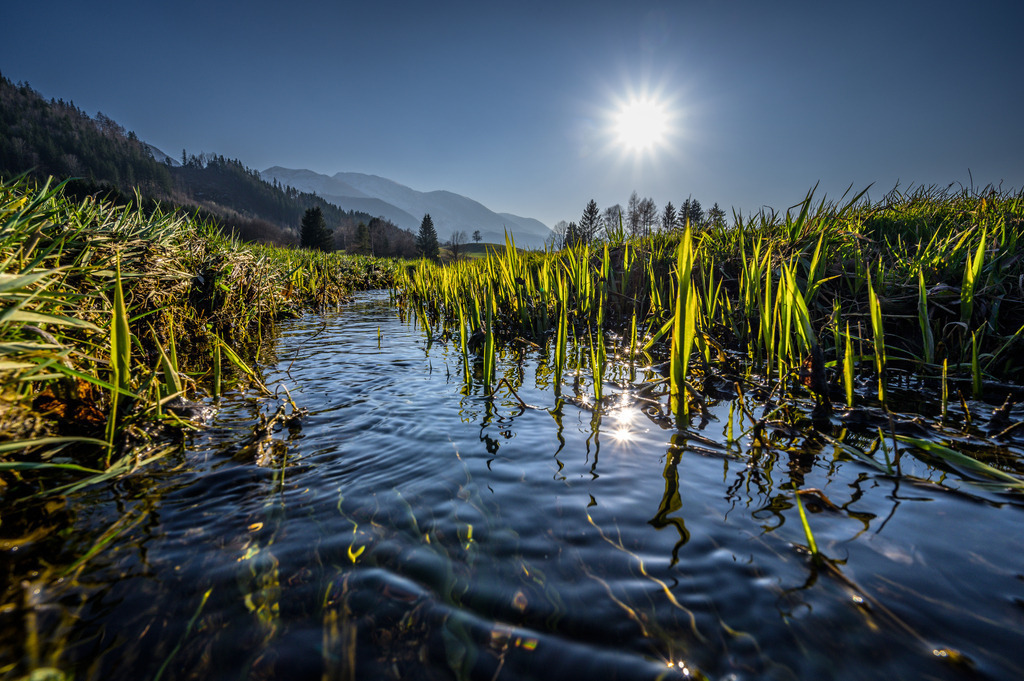 RRF_2229 | Fotografie die berührt. - Realisiert mit Pictrs.com