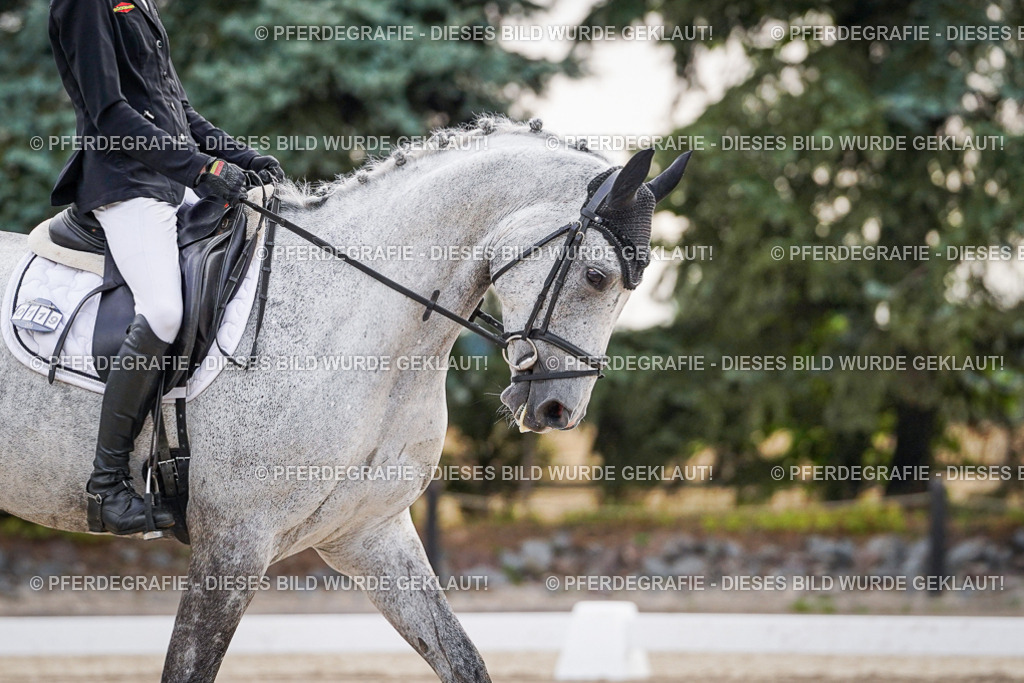 DSC00067 | Pferdegrafie