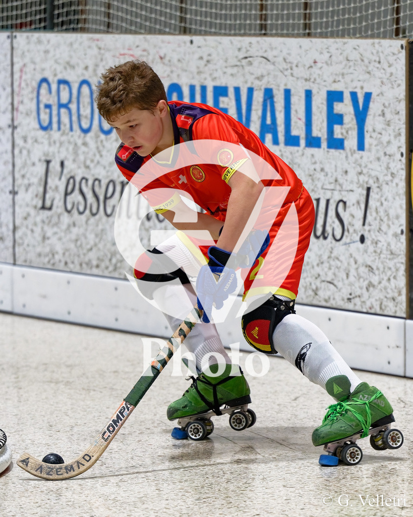 DZ8_3077 | Velletri Photo