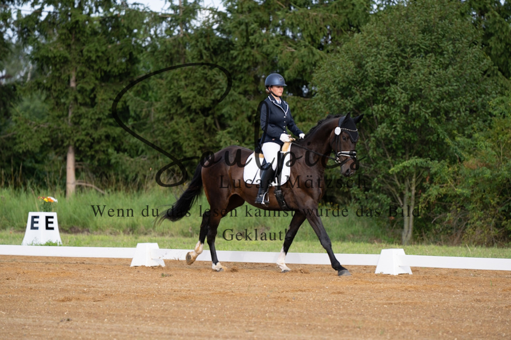 A7V03673 | Turnier/Reitfotograf