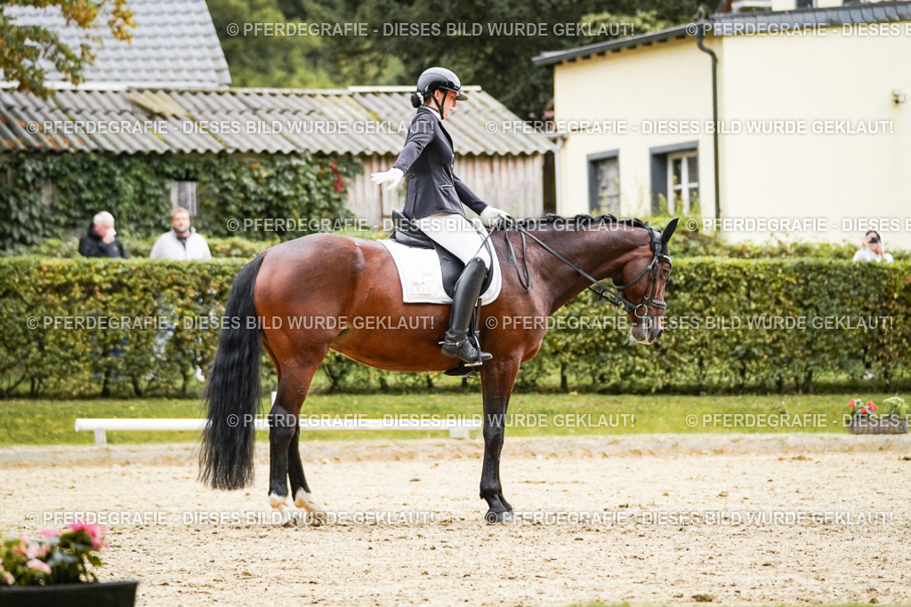 DSC07514 | Pferdegrafie