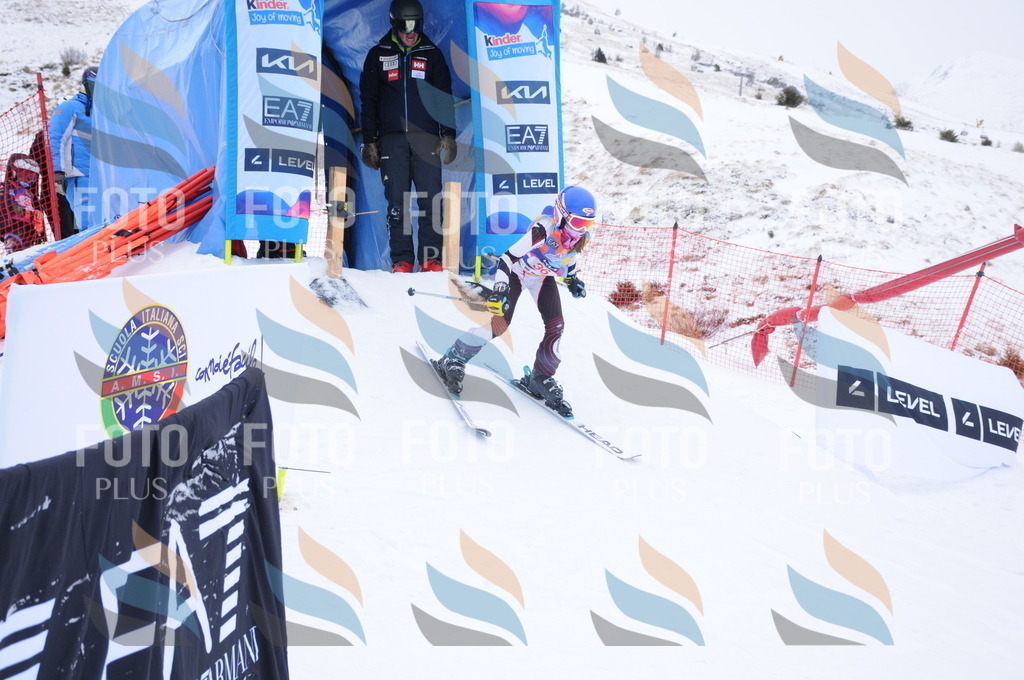 DSC_7824 | holidayphoto