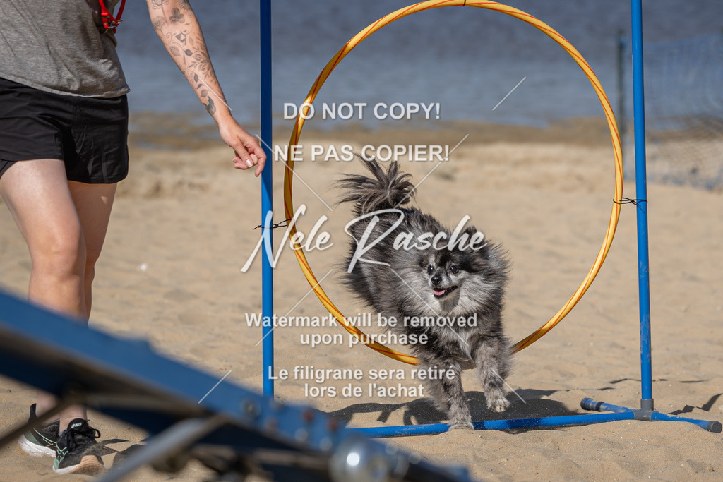 nelerasche_saBeachility_39 | nelerasche