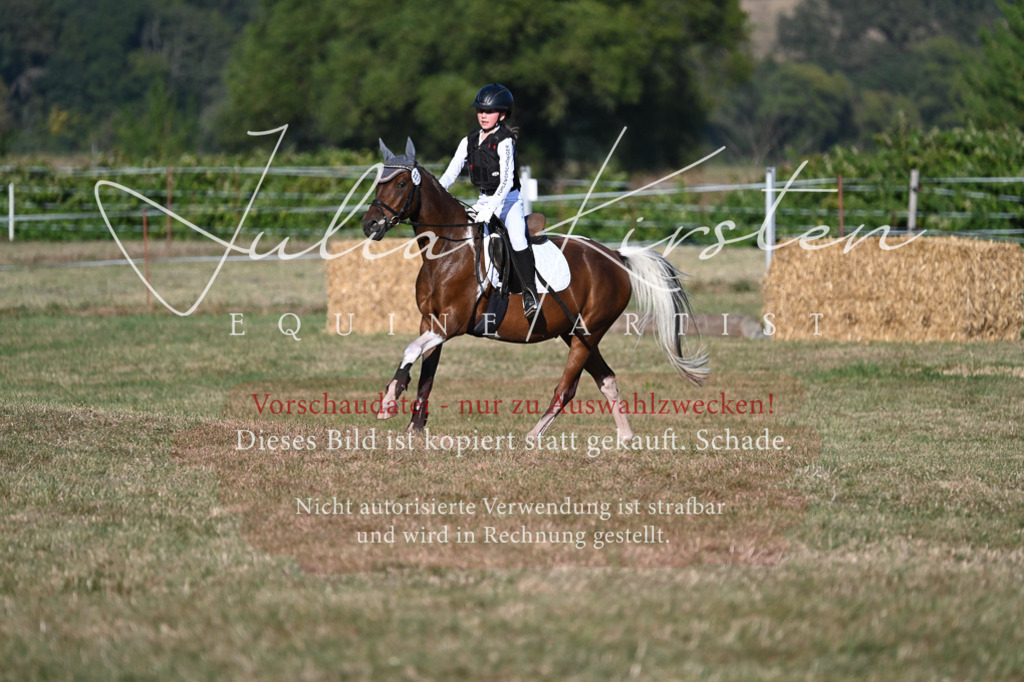 DSC_8997 | Pferde- und Turnierfotografie in Westsachsen. Pferdeportraits, Auftragszeichnungen und intuitive Kunst.