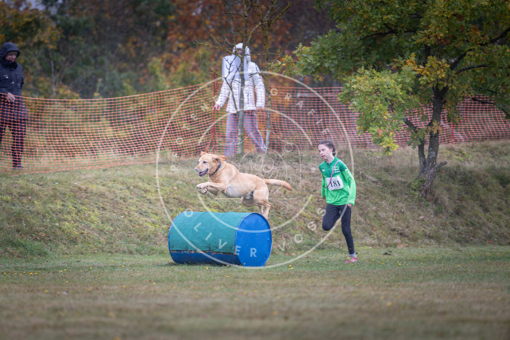 Pfotenfotografie_DV3A0315 | Hundefotografie, Tierfotograf, Pfotenfotografie, Fotoshooting Hund, Hunde Portrait, Hundesport, Hundeportraits, Heideshooting, Hunde, Sportfotograf, Hundefotograf, Turnierhundsport, THS,  - Realisiert mit Pictrs.com