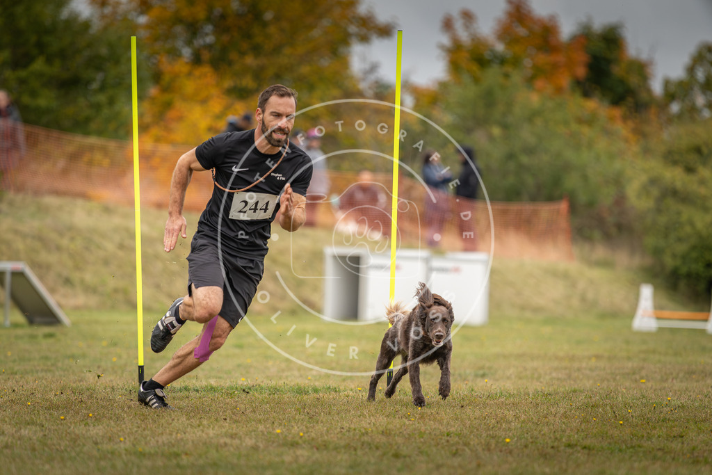 Pfotenfotografie_DV3A5574 | Hundefotografie, Tierfotograf, Pfotenfotografie, Fotoshooting Hund, Hunde Portrait, Hundesport, Hundeportraits, Heideshooting, Hunde, Sportfotograf, Hundefotograf, Turnierhundsport, THS,  - Realisiert mit Pictrs.com