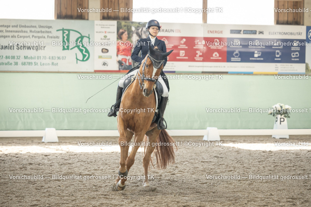 _D5A1455 | Emotionale Pferde- & People-Fotografie rund um Heidelberg, Leimen & Umgebung. Natürliche Fotos von Pferd, Mensch & Familie. Jetzt Termin sichern!