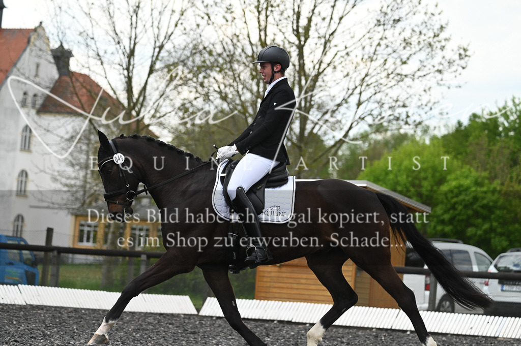 20230512_JK-Röhrsdorf-08-083 | Pferde- und Turnierfotografie in Westsachsen. Pferdeportraits, Auftragszeichnungen und intuitive Kunst.