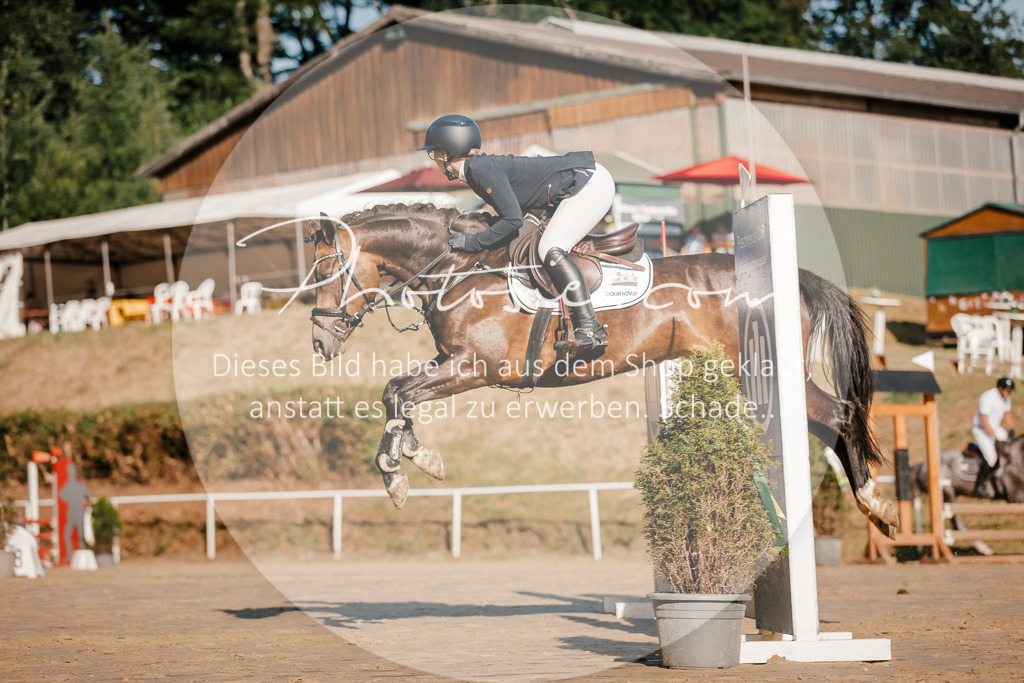 3I6A6273 | Stimmungsvolle Portraits und Reitsportfotografie im Ruhrgebiet und im Münsterland.

Pferdefotografie, Hundefotografie, Tierfotografie, Reportagen, Portraits von Tier und Mensch, Turnierfotografie in Bochum, Recklinghausen, Marl, Haltern am See, Dülmen.. - Realisiert mit Pictrs.com