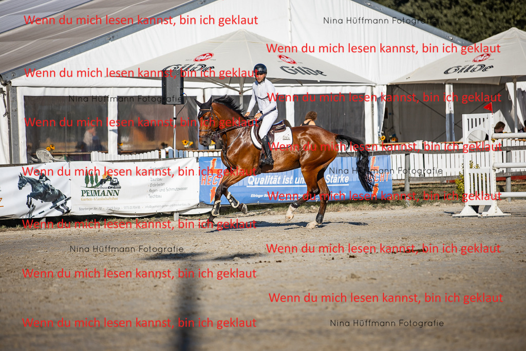 BK1A8742 | Turnierbilder Turnierfotos Nina Hüffmann Turnierfotografie Pferdefotografie Tierzeichnung Haustierzeichnung Pferdezeichnung Hundezeichnung Videograf  - Realisiert mit Pictrs.com