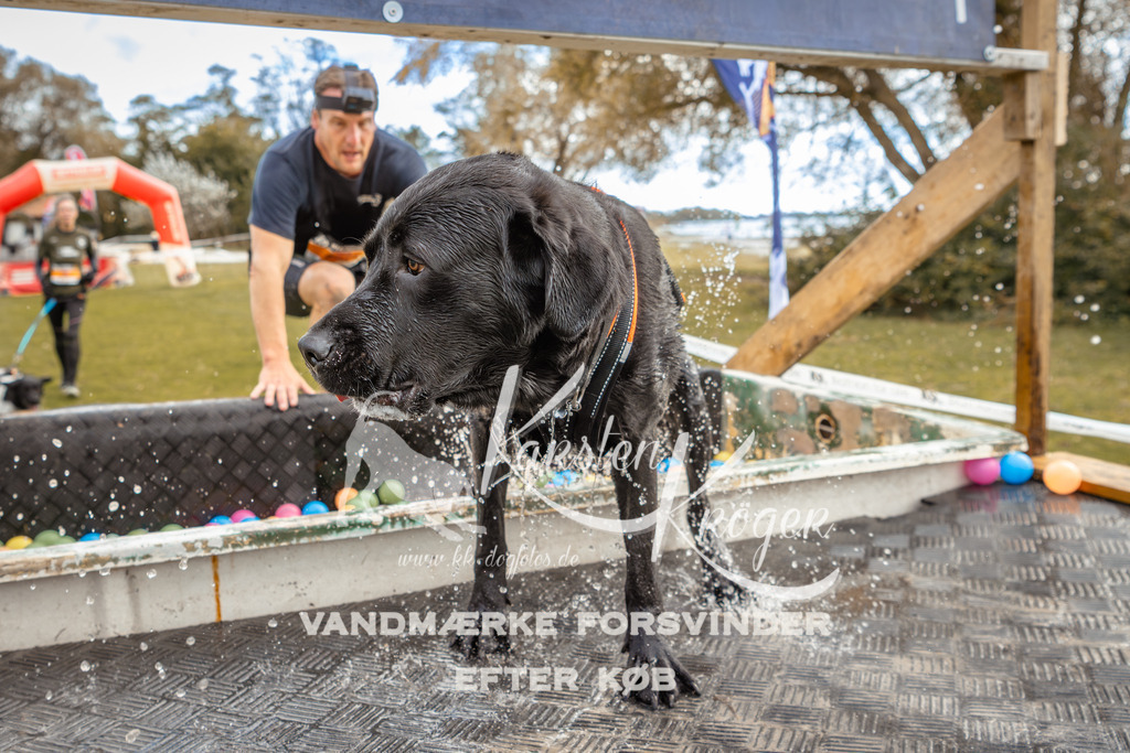 1344_ZZ92045-2 | kk-dogfotos