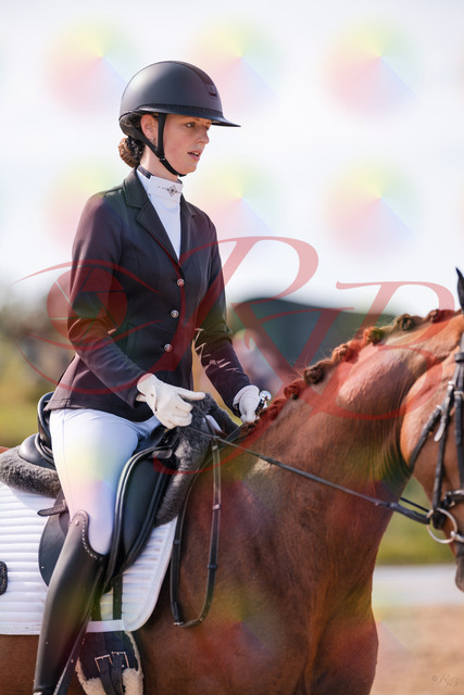 2026_10_03_Siefer-Hof_133129_Z81_85670708 | Professionelle Reitsport-, Turnier- und Eventfotografie von Robert Broda. Galerien mit ausgewählten und bearbeiteten Bildern direkt online ansehen und bestellen.
