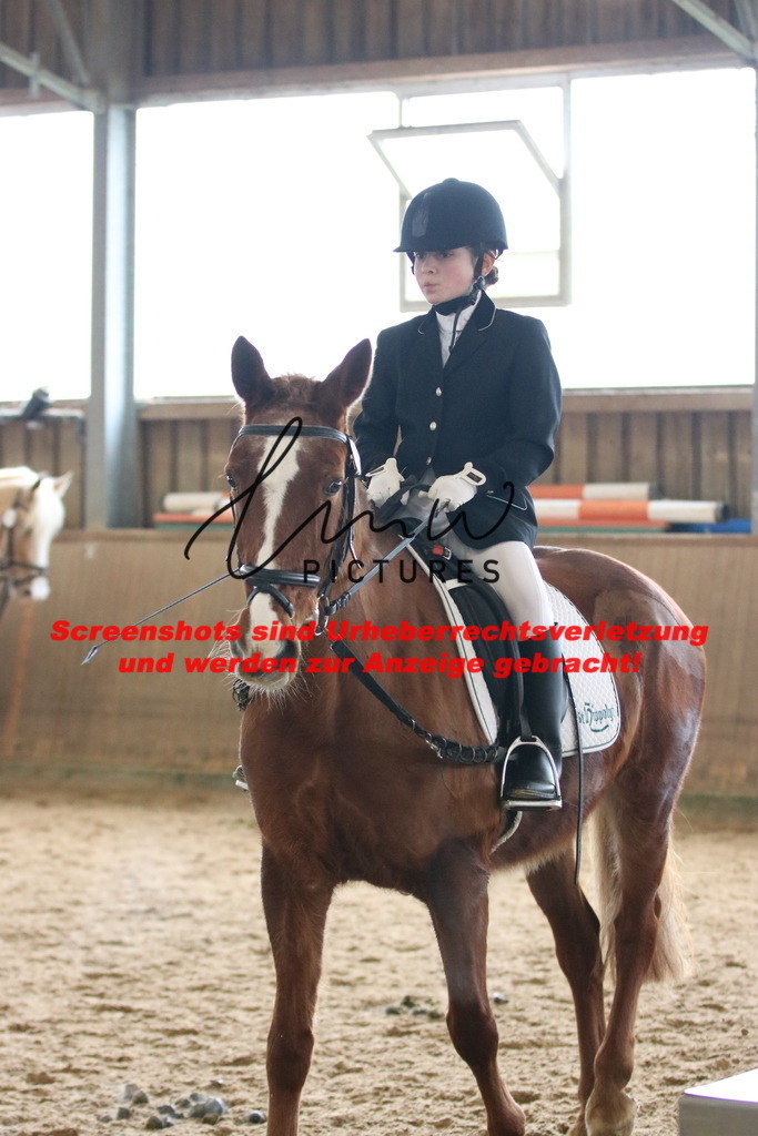 IMG_4815 | lmwpictures - Realisiert mit Pictrs.com