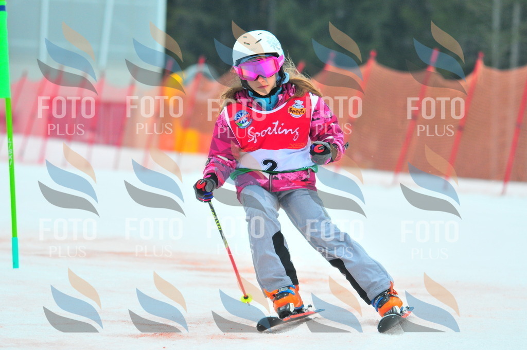 C0394 | holidayphoto