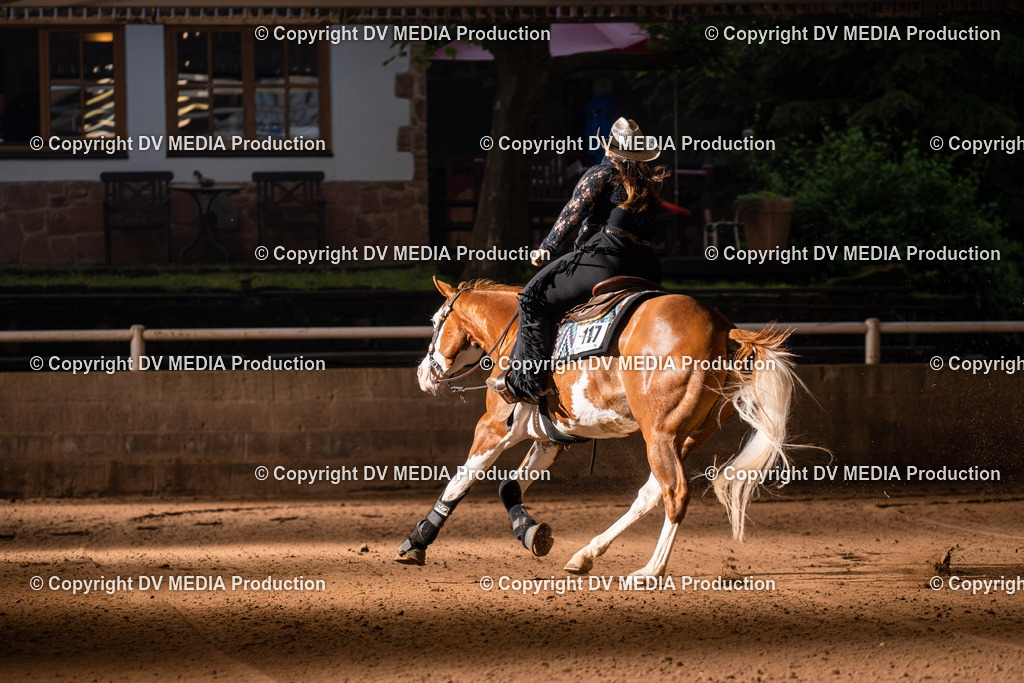 Erbach Tag 2-1141 | dv-media-shop - Realisiert mit Pictrs.com