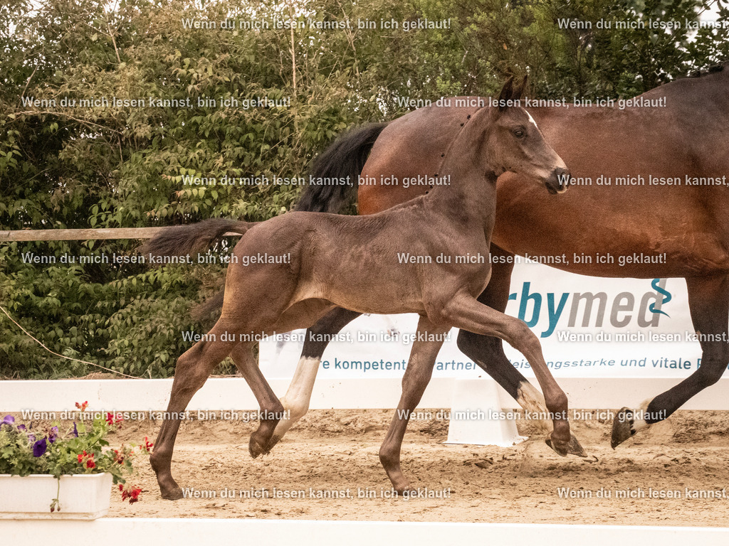 A10I1149 | photographylinaismer - Realisiert mit Pictrs.com