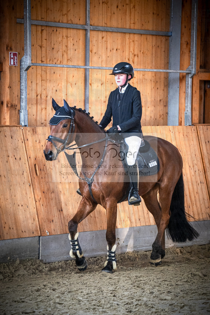 DOS_0733 | Entdecke hochwertige Reitturnierfotos von Foto Oger. Professionell, emotional und authentisch – jetzt Lieblingsmomente im Shop bestellen.Deutschlandweite Turnierfotografie. - Realisiert mit Pictrs.com