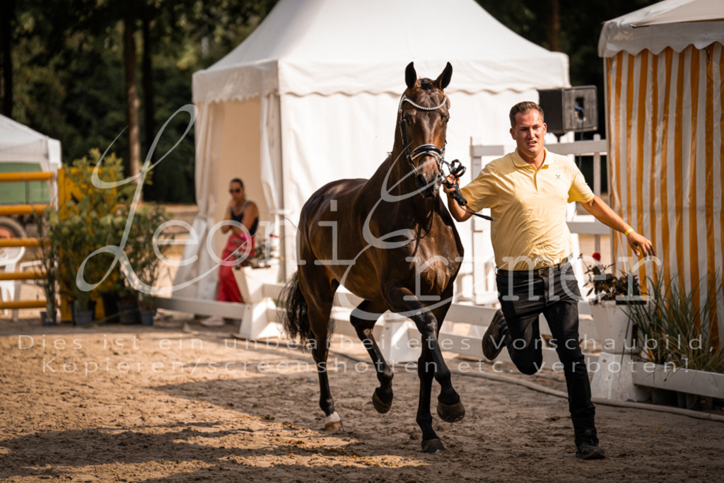 FrER00185 | Leoni Ertmer Photography - Realisiert mit Pictrs.com