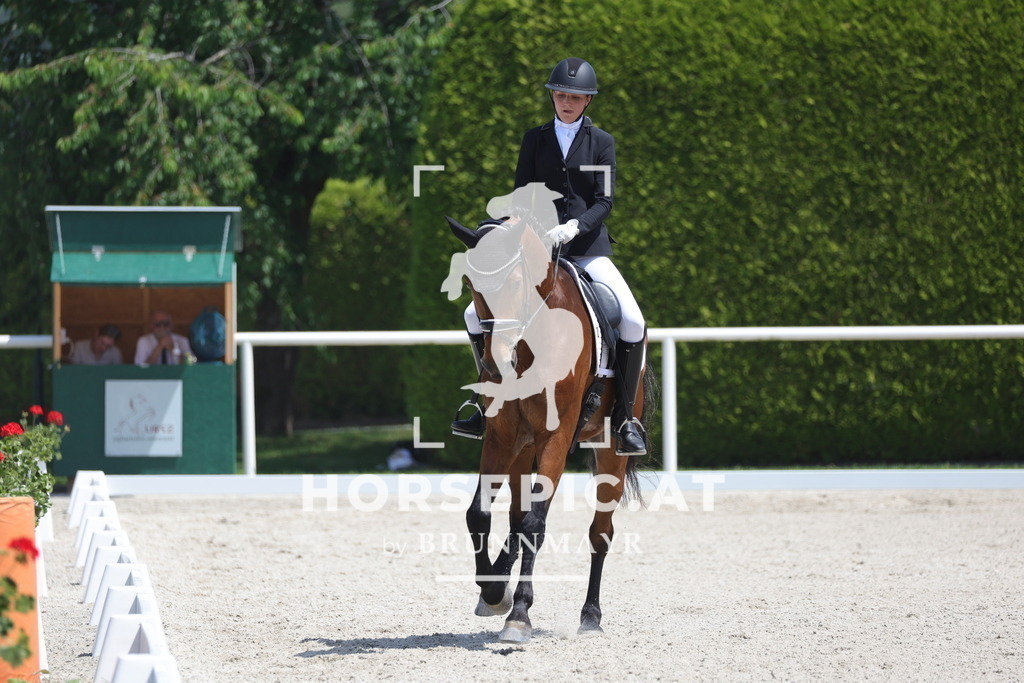 0P6A5843 | Willkommen bei Brunnmayr - Design & Fotografie – Ihrem Spezialisten für Reitturniere und Pferdeveranstaltungen in Oberösterreich, Salzburg und Bayern! Seit über 17 Jahren sind wir leidenschaftlich dabei.