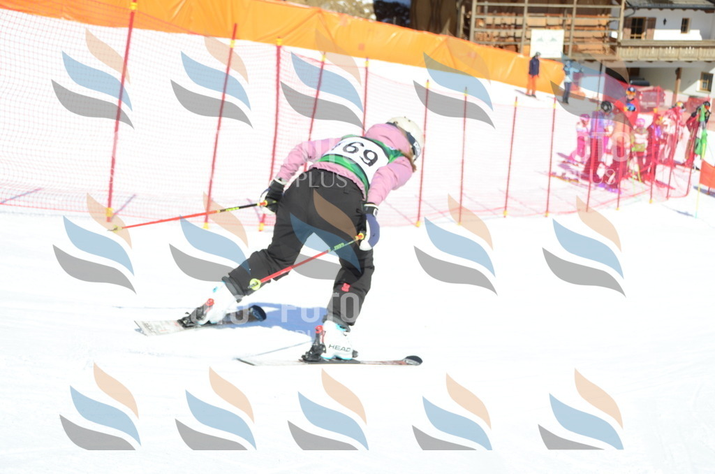 C6283 | holidayphoto