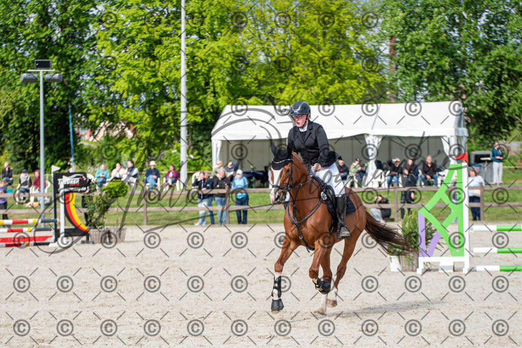 KPT_6578 | andre_photographic