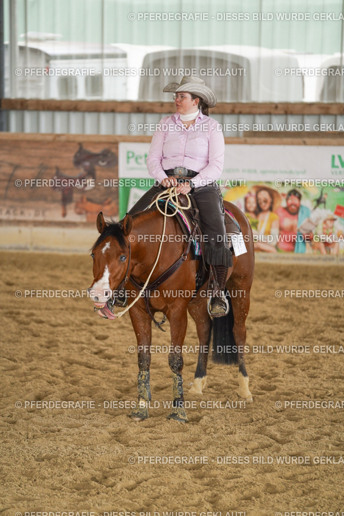 DSC09384 | Pferdegrafie