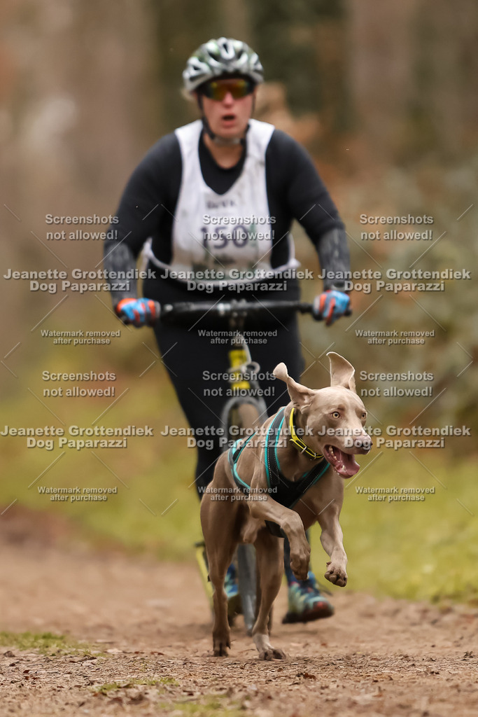 Dog Paparazzi - Speedhunter Mannheim  2025-416 | Dog Paparazzi Jeanette Grottendiek Fotografie & Videografie