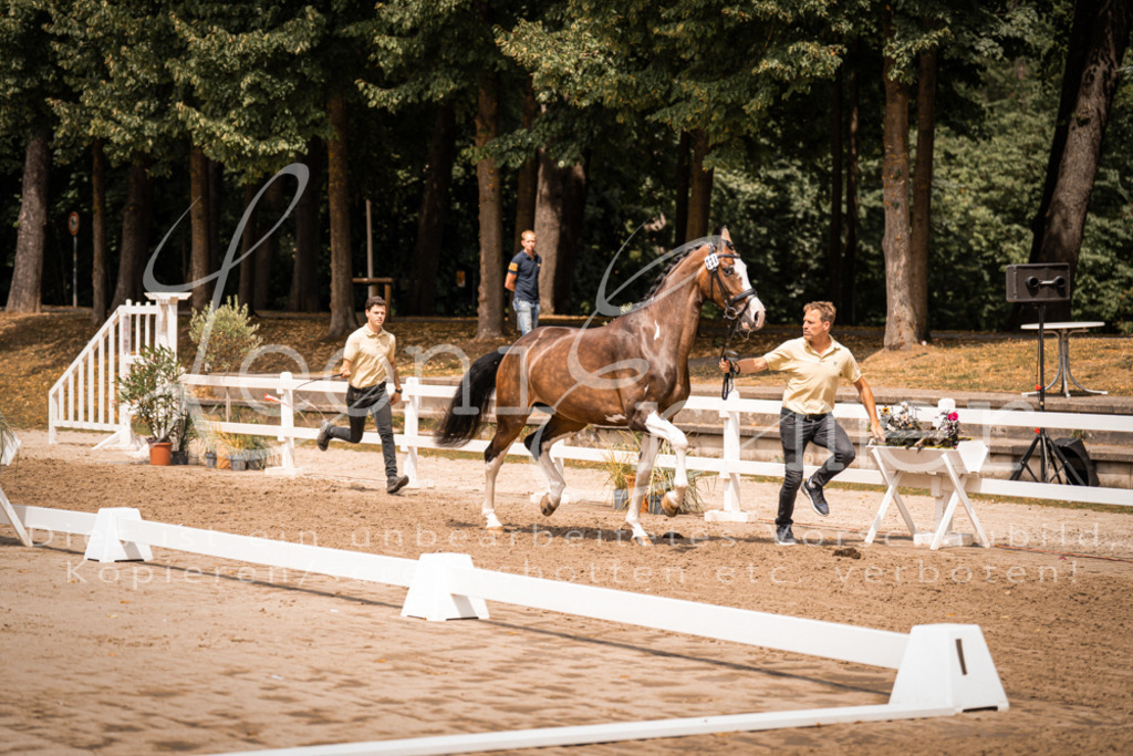 2. Fr00141 | Leoni Ertmer Photography - Realisiert mit Pictrs.com