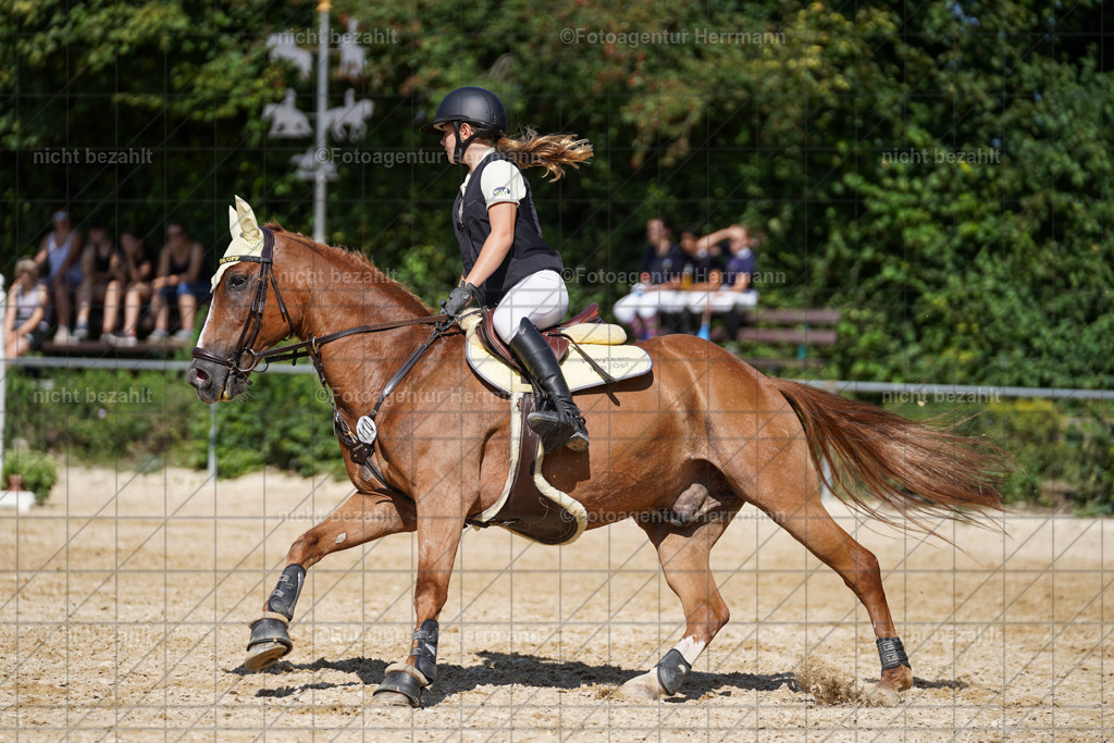 20240824-FAH08352 | Thierhaupten 2024, Bayerisches Landesponyturnier, Turnierbilder, Ponybilder, Turnierfotografen Bayern, Fotoagentur Herrmann