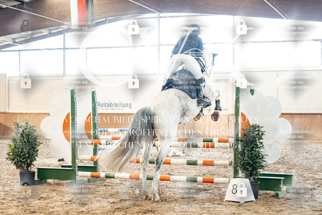 CK904364 | Turnierfotografie Pferdefotografie Trier Rheinland-Pfalz Pferdesport Reitsport Tierfotografie Sportfotografie Pferdevideo Pferdevideografie Equestrianvideography equestrianphotography  - Realized with Pictrs.com