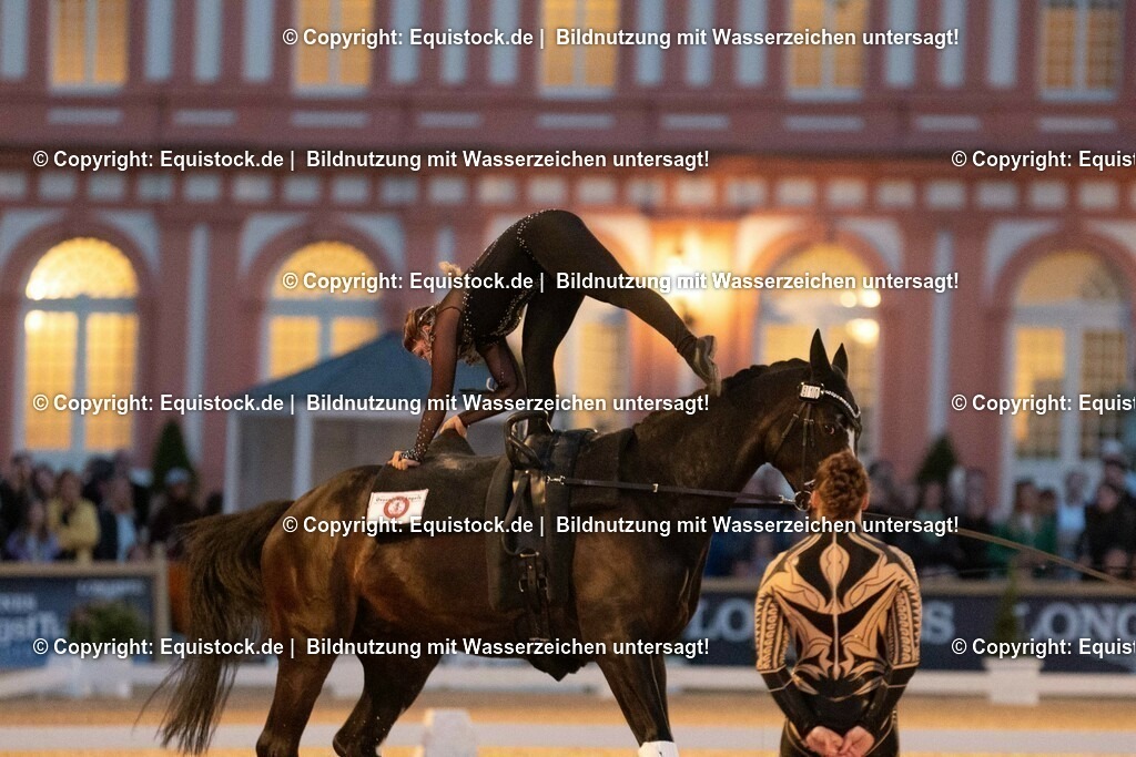 20230527_Voltigieren_NASPA_Flutlicht_0590 | equistock