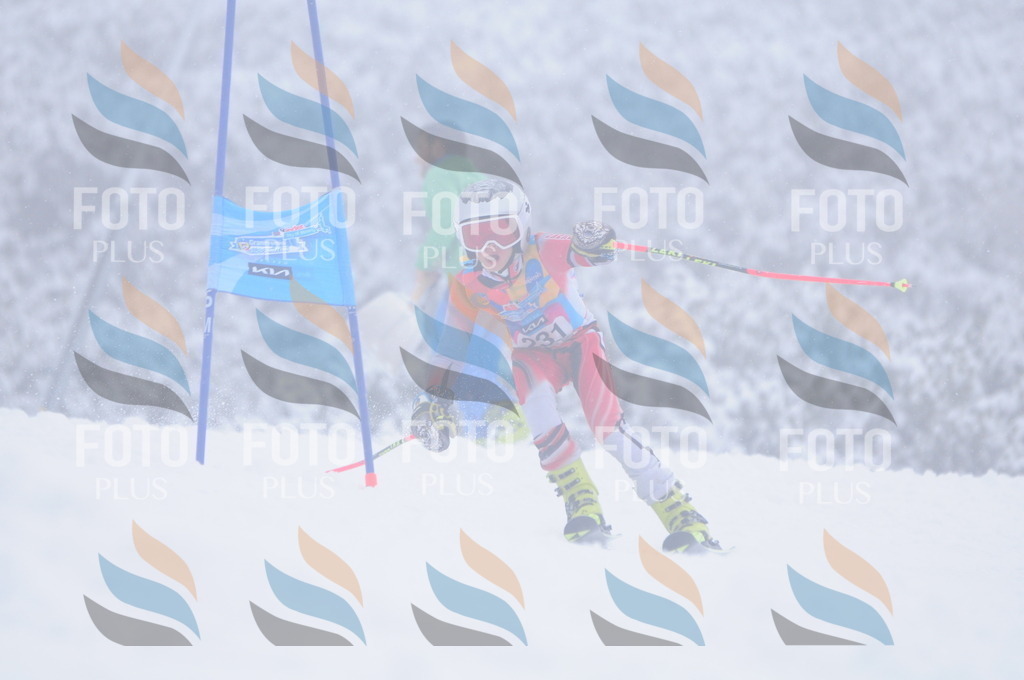 C2420 | holidayphoto