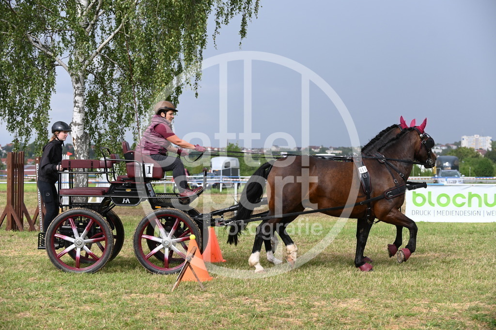 DSC_8761 | sattelsport - Realisiert mit Pictrs.com