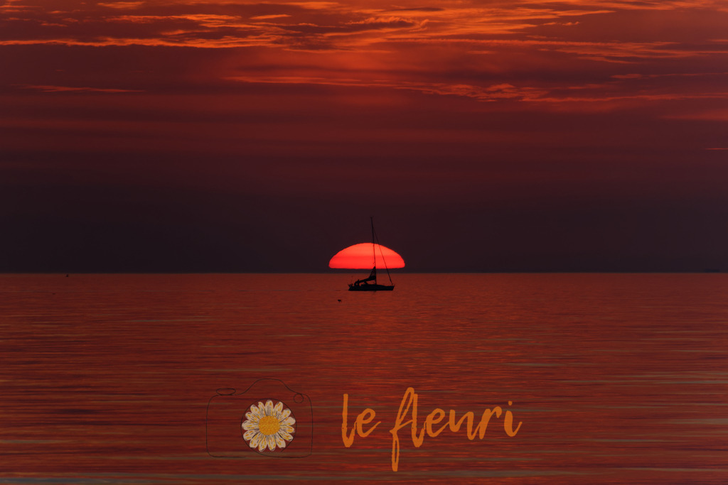 DSC_0274-NEF_DxO_PRIME | Dies ist der Shop von Florian Blum - le fleuri. Langenthal, Bern, Schweiz. Sie können hier meine oder ihre eigenen Fotos als Fotoprodukte kaufen. Tassen, Schlüsselanhänger, Taschen etc. können Sie hier gestalten.  - Realisiert mit Pictrs.com