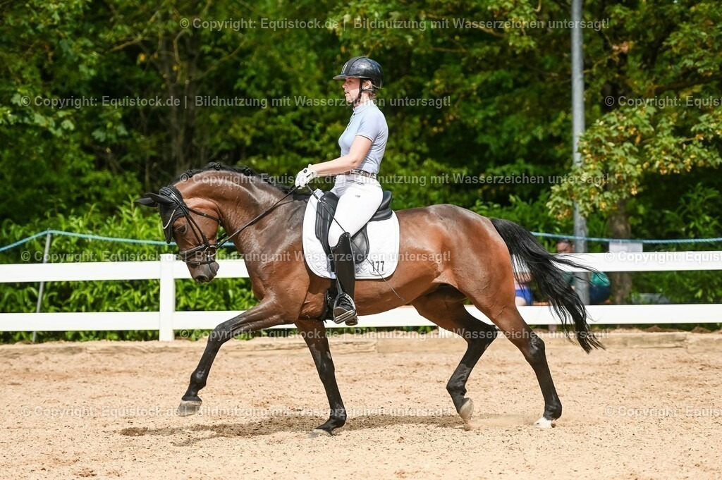 20230715_02_Dressurreiterprüfung Kl.L_0407 | equistock
