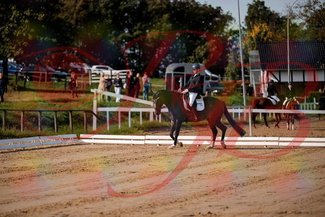 2026_10_03_Siefer-Hof_113444_Z63_20464302 | Professionelle Reitsport-, Turnier- und Eventfotografie von Robert Broda. Galerien mit ausgewählten und bearbeiteten Bildern direkt online ansehen und bestellen.