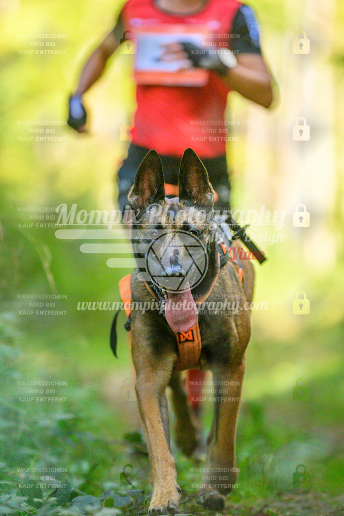 MompixPhotography_Yens2025_B1-100 | PayLife