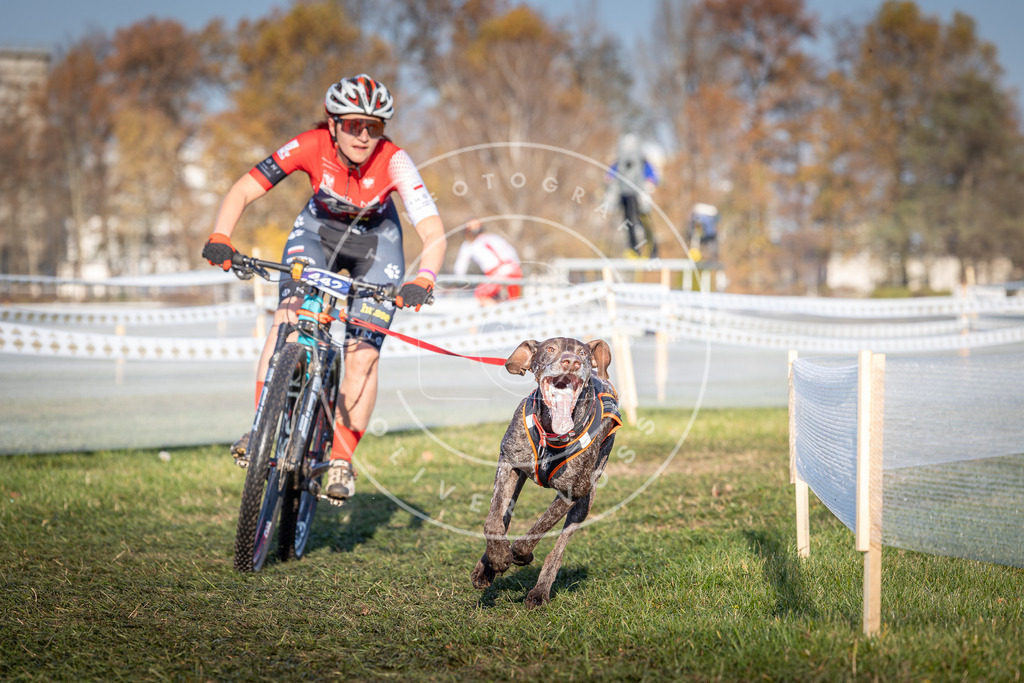 CaniXpix_0L8A4325 | Hundefotografie, Tierfotograf, Pfotenfotografie, Fotoshooting Hund, Hunde Portrait, Hundesport, Hundeportraits, Heideshooting, Hunde, Sportfotograf, Hundefotograf, Turnierhundsport, THS,  - Realisiert mit Pictrs.com