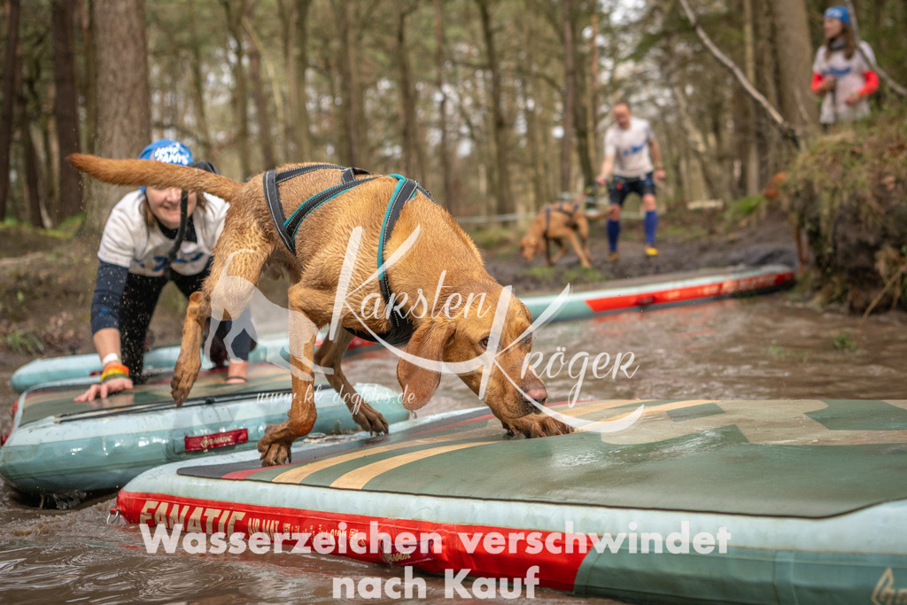 1011_ZZ92878 | kk-dogfotos