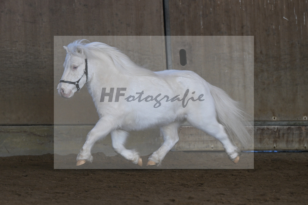 Kat-Nr. 14 Elmhorst Irish Cream v. Elmhorst Irish Coffee_Elmer_49250639 | hf-fotografie - Realisiert mit Pictrs.com