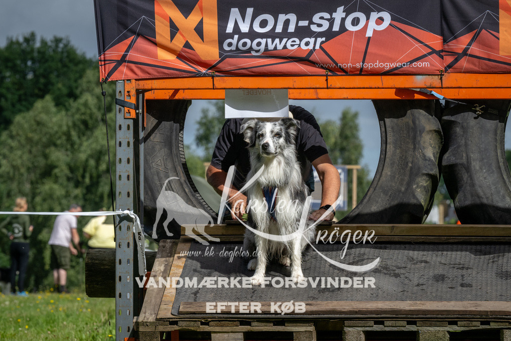 1134_ZZ92523 | kk-dogfotos